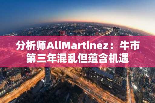 分析师AliMartinez：牛市第三年混乱但蕴含机遇