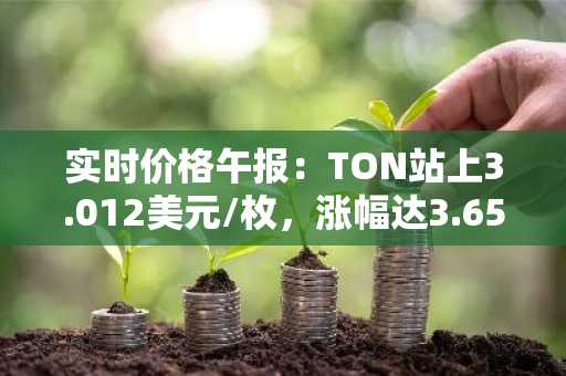 实时价格午报：TON站上3.012美元/枚，涨幅达3.65%