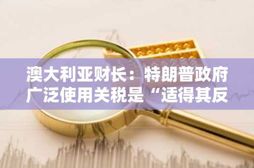 澳大利亚财长：特朗普政府广泛使用关税是“适得其反和自我破坏”的行为