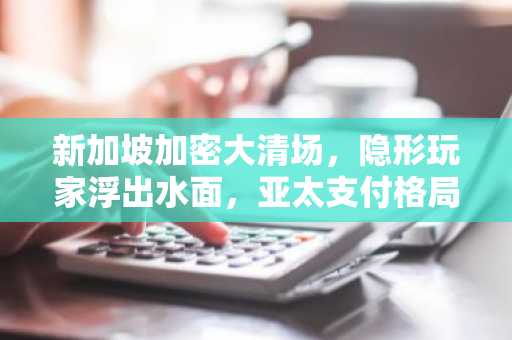 新加坡加密大清场，隐形玩家浮出水面，亚太支付格局上演罗生门